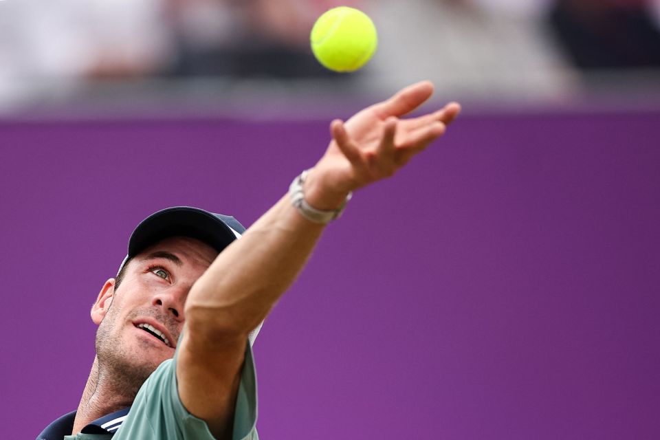 他们不仅提 他们不仅提