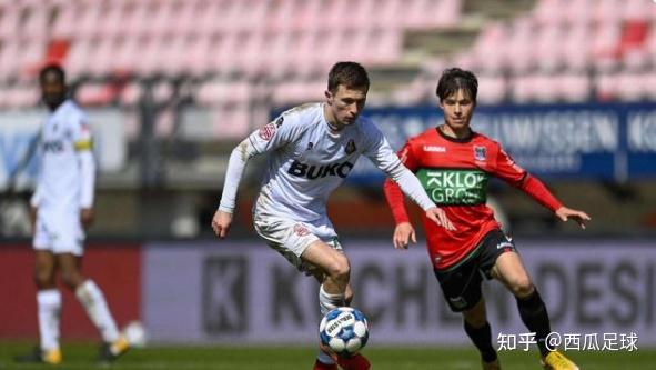 结论要点 结论要点